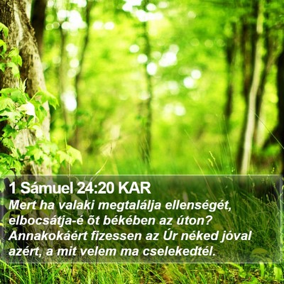 1 Sámuel 24:20 KAR Bible Verse Image