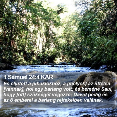 1 Sámuel 24:4 KAR Bible Verse Image