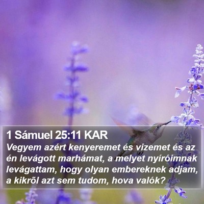 1 Sámuel 25:11 KAR Bible Verse Image