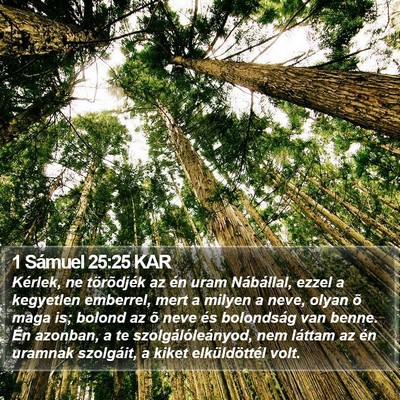1 Sámuel 25:25 KAR Bible Verse Image