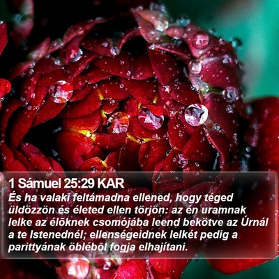 1 Sámuel 25:29 KAR Bible Verse Image