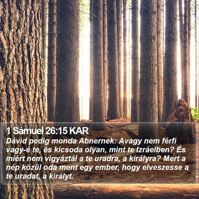 1 Sámuel 26:15 KAR Bible Verse Image