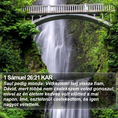1 Sámuel 26:21 KAR Bible Verse Image
