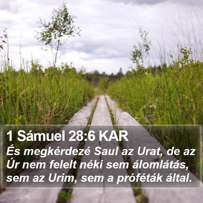 1 Sámuel 28:6 KAR Bible Verse Image