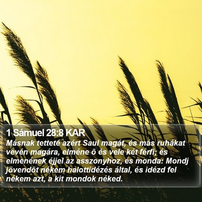 1 Sámuel 28:8 KAR Bible Verse Image