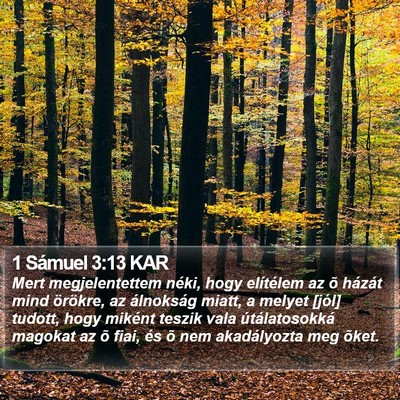 1 Sámuel 3:13 KAR Bible Verse Image