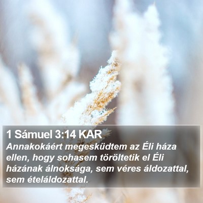 1 Sámuel 3:14 KAR Bible Verse Image