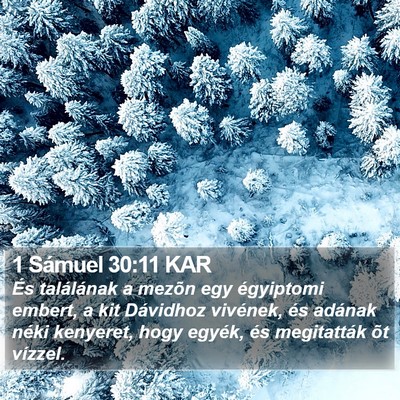 1 Sámuel 30:11 KAR Bible Verse Image