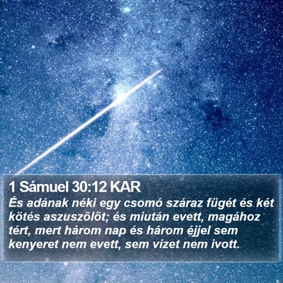 1 Sámuel 30:12 KAR Bible Verse Image