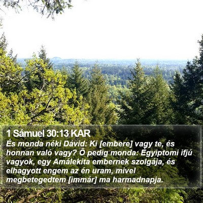 1 Sámuel 30:13 KAR Bible Verse Image