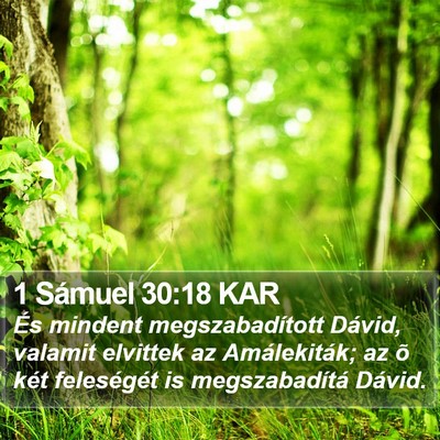 1 Sámuel 30:18 KAR Bible Verse Image