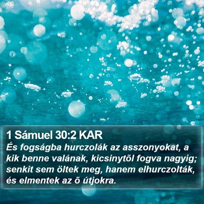 1 Sámuel 30:2 KAR Bible Verse Image