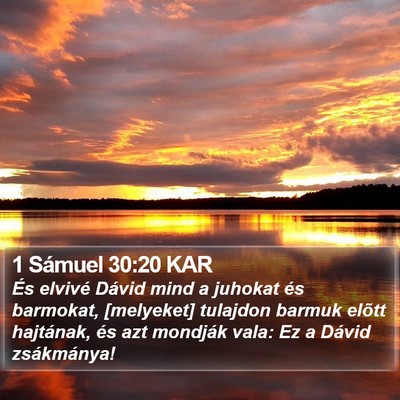 1 Sámuel 30:20 KAR Bible Verse Image