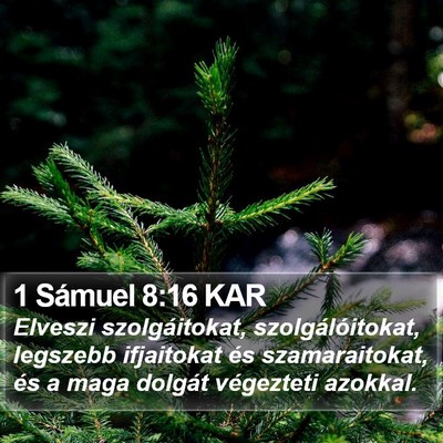1 Sámuel 8:16 KAR Bible Verse Image