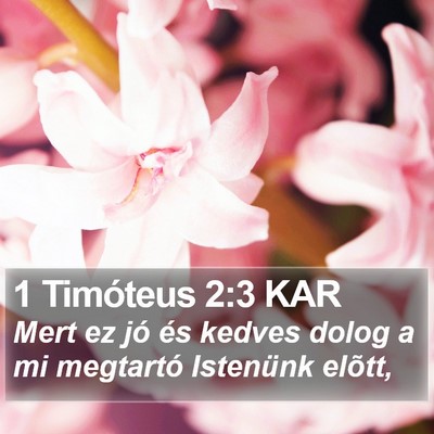 1 Timóteus 2:3 KAR Bible Verse Image