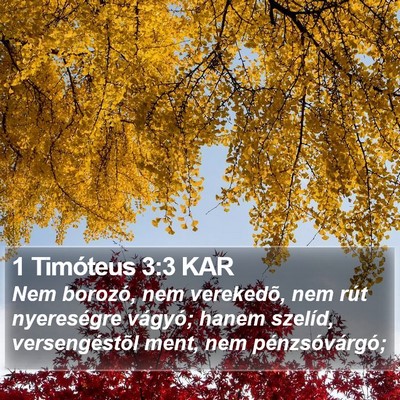 1 Timóteus 3:3 KAR Bible Verse Image