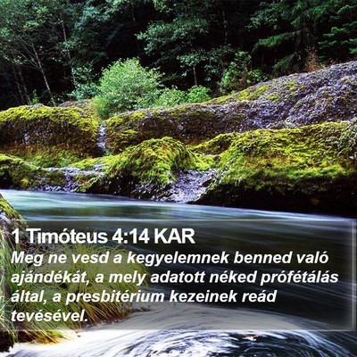 1 Timóteus 4:14 KAR Bible Verse Image