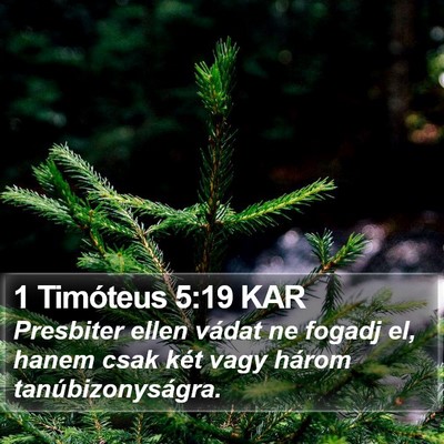 1 Timóteus 5:19 KAR Bible Verse Image