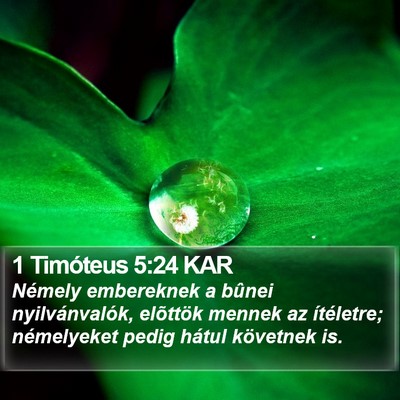1 Timóteus 5:24 KAR Bible Verse Image