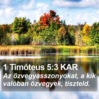 1 Timóteus 5:3 KAR Bible Verse Image