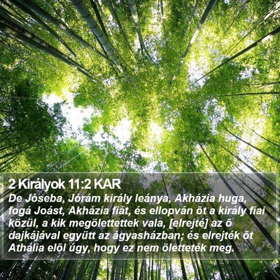 2 Királyok 11:2 KAR Bible Verse Image
