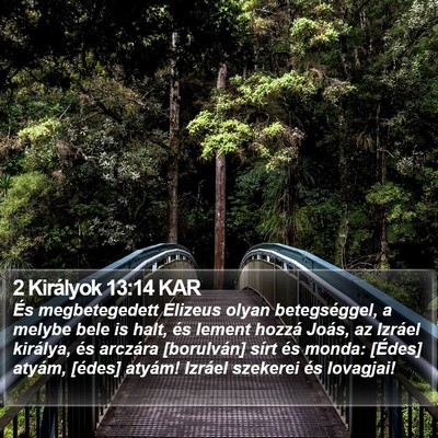 2 Királyok 13:14 KAR Bible Verse Image