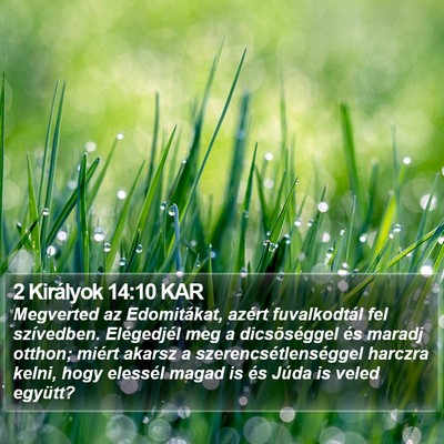 2 Királyok 14:10 KAR Bible Verse Image