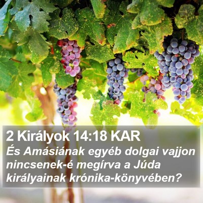 2 Királyok 14:18 KAR Bible Verse Image