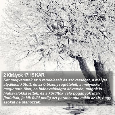 2 Királyok 17:15 KAR Bible Verse Image