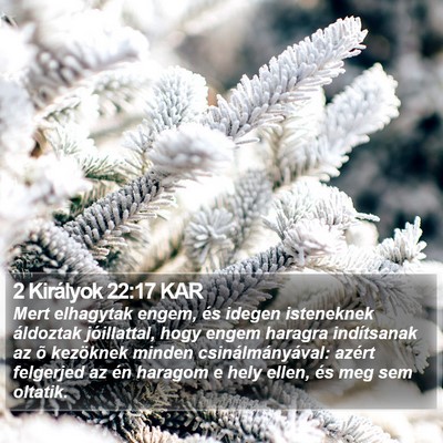 2 Királyok 22:17 KAR Bible Verse Image