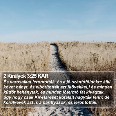 2 Királyok 3:25 KAR Bible Verse Image