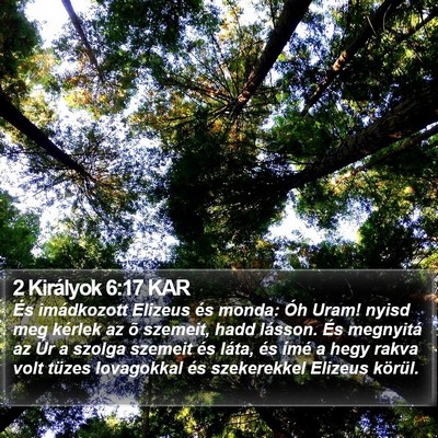2 Királyok 6:17 KAR Bible Verse Image