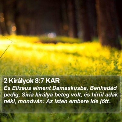 2 Királyok 8:7 KAR Bible Verse Image