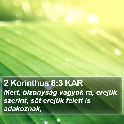 2 Korinthus 8:3 KAR Bible Verse Image