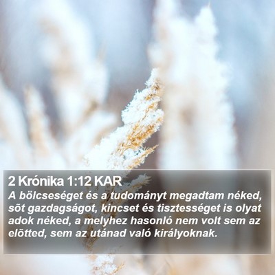 2 Krónika 1:12 KAR Bible Verse Image