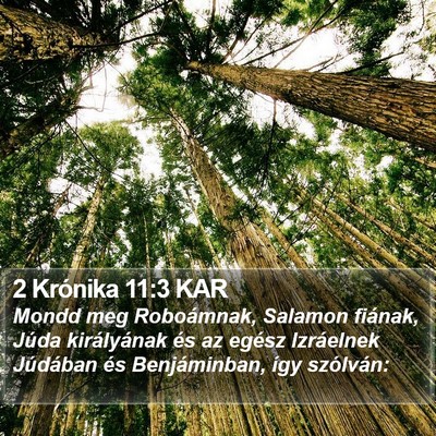 2 Krónika 11:3 KAR Bible Verse Image