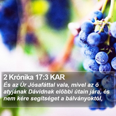 2 Krónika 17:3 KAR Bible Verse Image