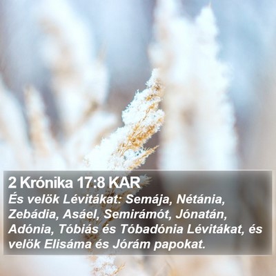 2 Krónika 17:8 KAR Bible Verse Image