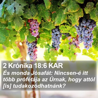 2 Krónika 18:6 KAR Bible Verse Image