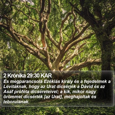 2 Krónika 29:30 KAR Bible Verse Image