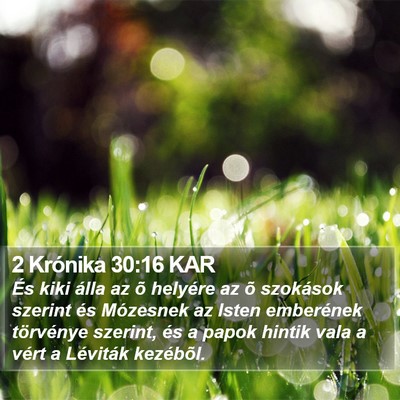 2 Krónika 30:16 KAR Bible Verse Image