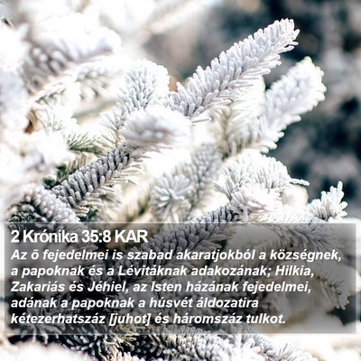 2 Krónika 35:8 KAR Bible Verse Image
