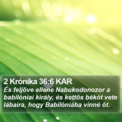 2 Krónika 36:6 KAR Bible Verse Image