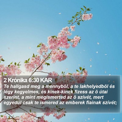 2 Krónika 6:30 KAR Bible Verse Image