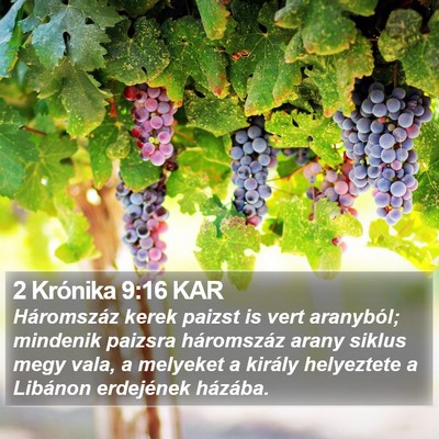 2 Krónika 9:16 KAR Bible Verse Image