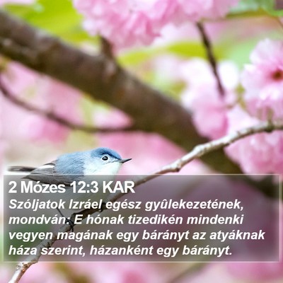 2 Mózes 12:3 KAR Bible Verse Image