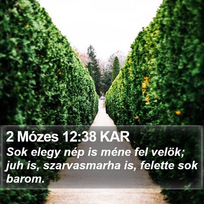 2 Mózes 12:38 KAR Bible Verse Image