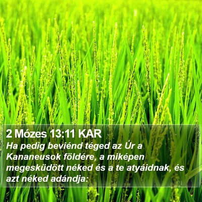 2 Mózes 13:11 KAR Bible Verse Image