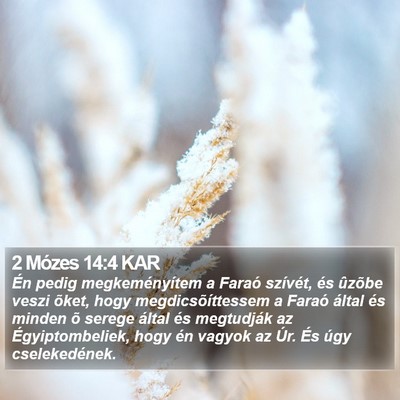 2 Mózes 14:4 KAR Bible Verse Image