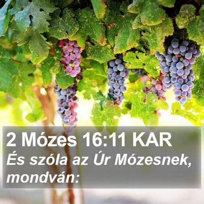 2 Mózes 16:11 KAR Bible Verse Image